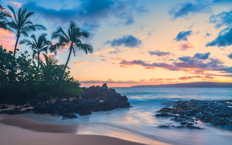 Hawaiian beach sunset with palm trees